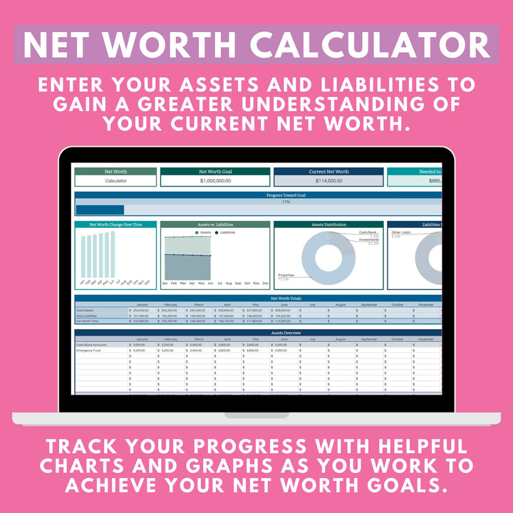 The Net Worth Calculator tab allows you to see an overall picture of your assets and liabilities so you can measure your total net worth from month to month.